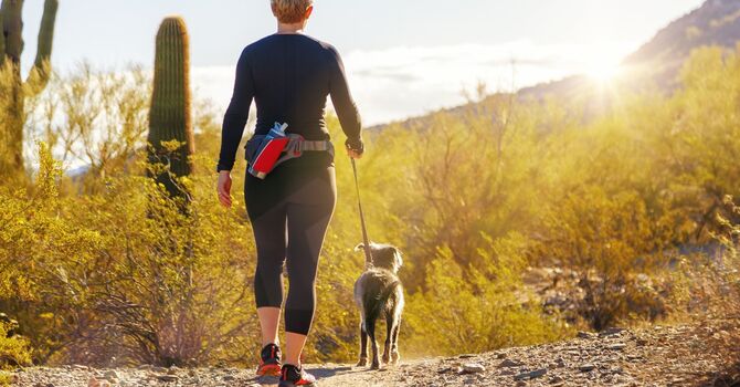 Holistic Health and Wellness Services